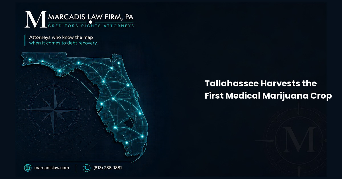 Tallahassee Harvests the First Medical Marijuana Crop
