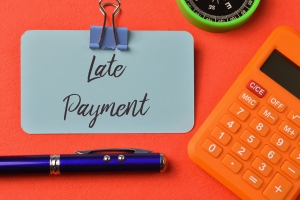 Maximizing Debt Recovery in the Era of Rising Delinquency